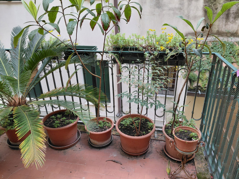 In posizione centralissima, Stefania Pilotto Immobiliare propone in vendita NUDA PROPRIETA' di ap...