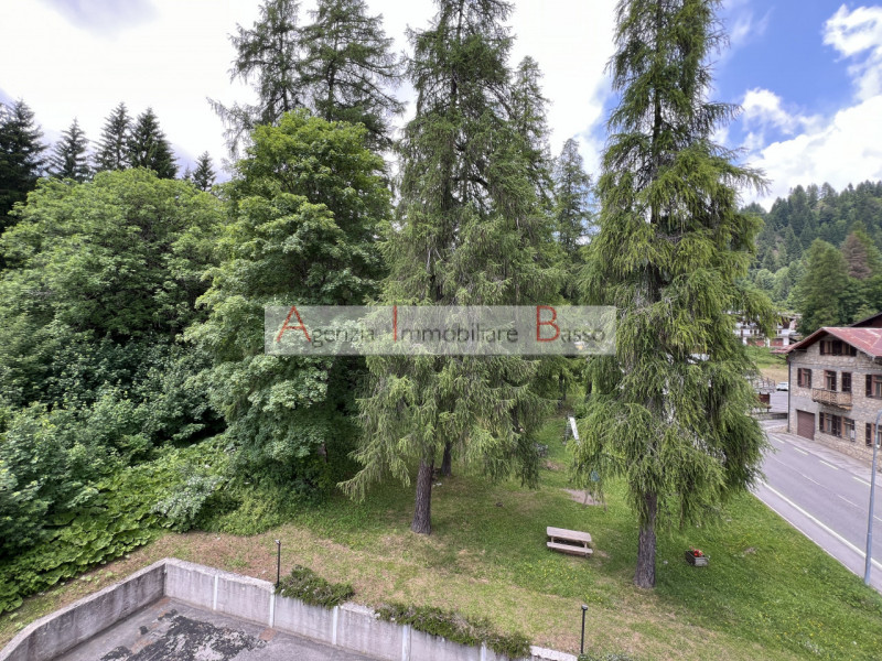 VIVERE LA MONTAGNA – PÈCOL, AI PIEDI DEL CIVETTA

Nel cuore di Pecol, rinomata località turistic...