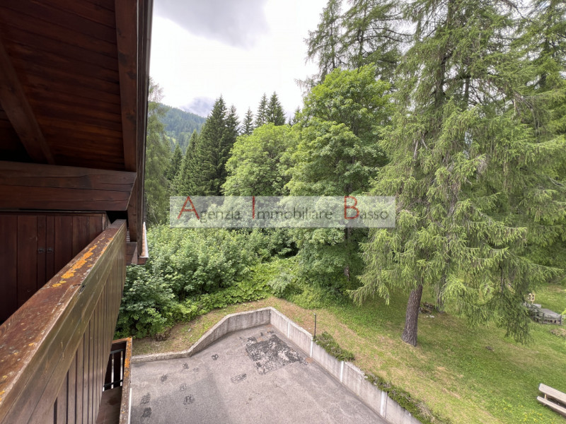 VIVERE LA MONTAGNA – PÈCOL, AI PIEDI DEL CIVETTA

Nel cuore di Pecol, rinomata località turistic...