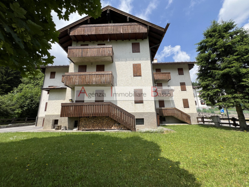 VIVERE LA MONTAGNA – PÈCOL, AI PIEDI DEL CIVETTA

Nel cuore di Pecol, rinomata località turistic...