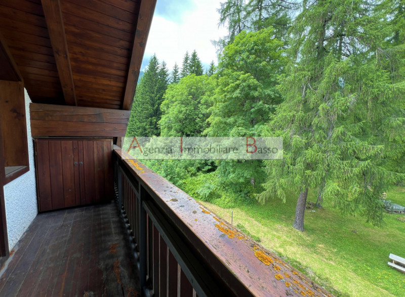 VIVERE LA MONTAGNA – PÈCOL, AI PIEDI DEL CIVETTA

Nel cuore di Pecol, rinomata località turistic...