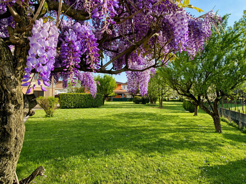 Proponiamo in vendita a Lerino, in un contesto residenziale tranquillo e ben abitato, un ampio e ...