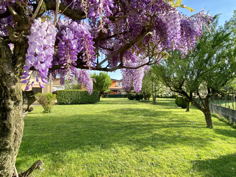 Proponiamo in vendita a Lerino, in un contesto residenziale tranquillo e ben abitato, un ampio e ...