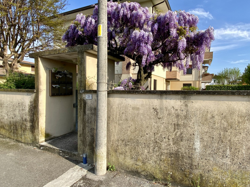Proponiamo in vendita a Lerino, in un contesto residenziale tranquillo e ben abitato, un ampio e ...