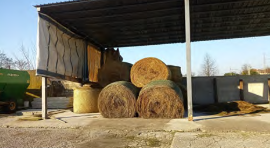 Rif. A.A.301-22

Vendita all'asta - complesso rurale agricolo in data 25 maggio 2026

Descrizione...