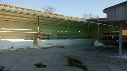 Rif. A.A.301-22

Vendita all'asta - complesso rurale agricolo in data 25 maggio 2026

Descrizione...