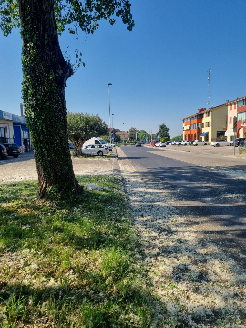 immagine annuncio 1 di 7