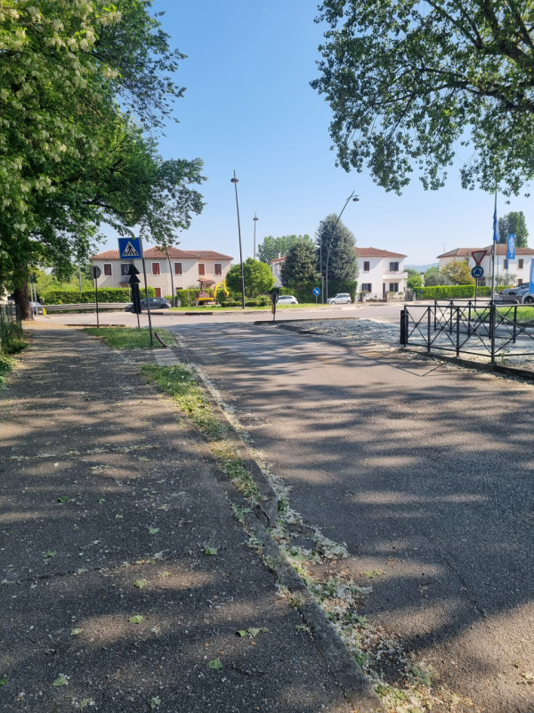 Si propone in VENDITA, negozio di 230 mq circa, categoria catastale C/1.
L'immobile offre ampio s...