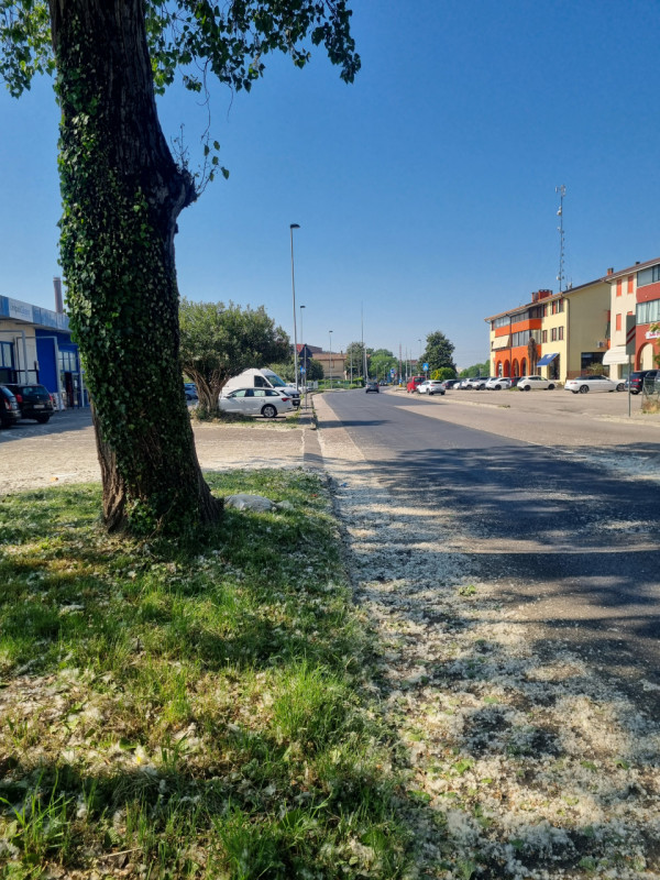 Si propone in VENDITA, negozio di 230 mq circa, categoria catastale C/1.
L'immobile offre ampio s...