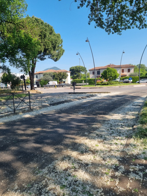 Si propone in VENDITA, negozio di 230 mq circa, categoria catastale C/1.
L'immobile offre ampio s...