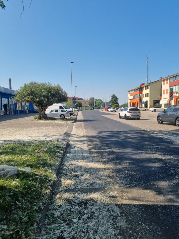 Si propone in VENDITA, negozio di 230 mq circa, categoria catastale C/1.
L'immobile offre ampio s...