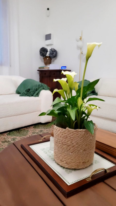 UNA CASA BIFAMILIARE E IL SUO SOGNO!

Dimenticati di essere nel 2026.
Dimenticati di tutti i prob...