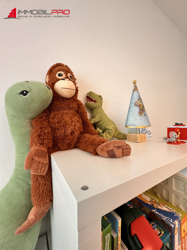 Se stai cercando qualcosa di più di un semplice tricamere, questa è la soluzione giusta.

In un c...