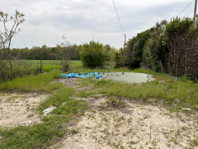 PORTOGRUARO - (Venezia)
Proponiamo in esclusiva nei pressi di Portogruaro (VE), a Viola, una sple...