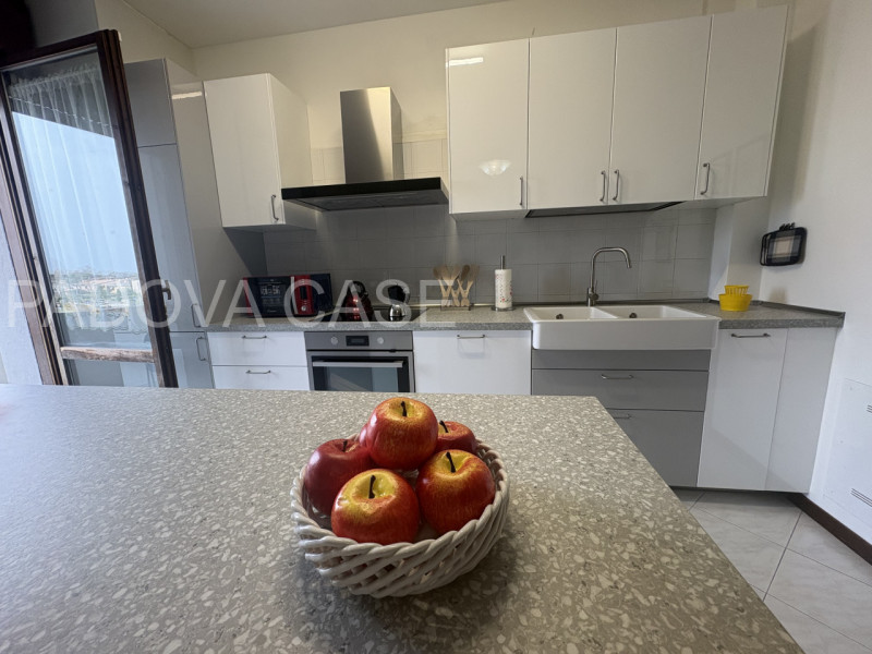 Scopri questo splendido appartamento situato nel cuore di Albignasego, un comune caratterizzato d...