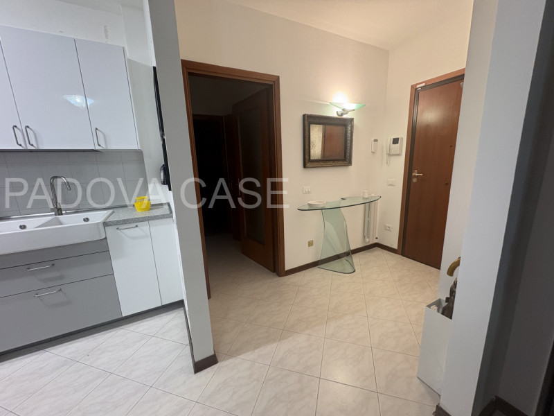 Scopri questo splendido appartamento situato nel cuore di Albignasego, un comune caratterizzato d...