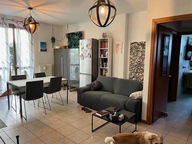 Noventa Oltre Brenta, Introvabile! proponiamo un generoso bilocale al piano terra con giardino pr...