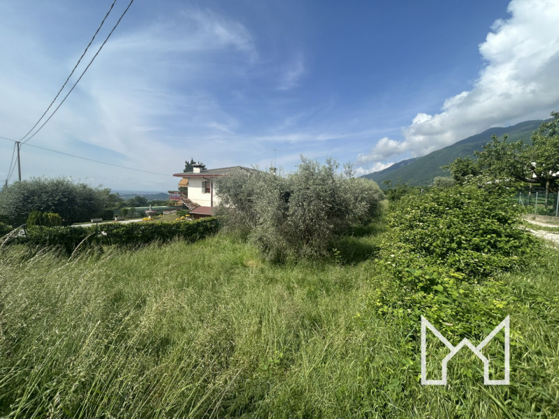 CRESPANO- In zona panoramica e tranquilla, proponiamo terreno agricolo di forma rettangolare di 3...