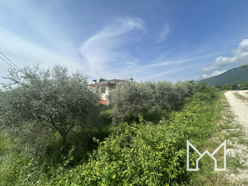 CRESPANO- In zona panoramica e tranquilla, proponiamo terreno agricolo di forma rettangolare di 3...
