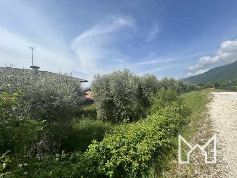 CRESPANO- In zona panoramica e tranquilla, proponiamo terreno agricolo di forma rettangolare di 3...