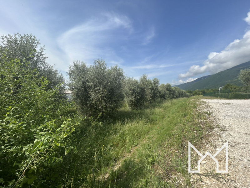 CRESPANO- In zona panoramica e tranquilla, proponiamo terreno agricolo di forma rettangolare di 3...