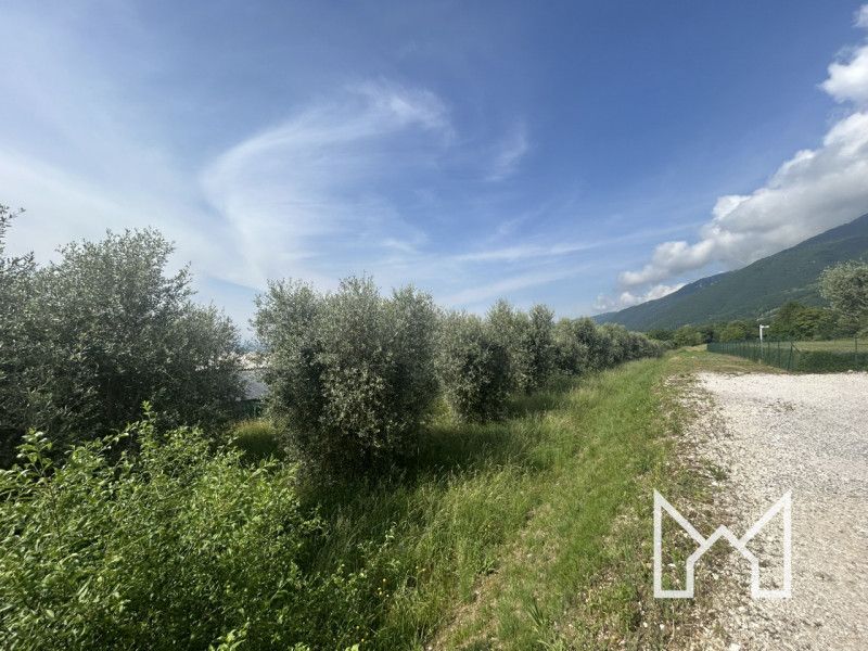 CRESPANO- In zona panoramica e tranquilla, proponiamo terreno agricolo di forma rettangolare di 3...