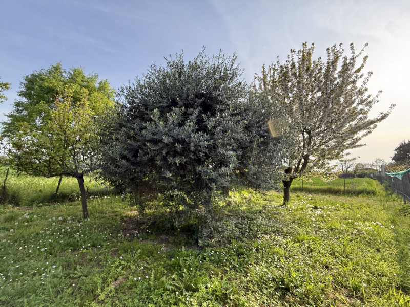 Ciao da Arcobaleno Immobiliare , fermati un attimo perché se stai cercando un'occasione sul merca...