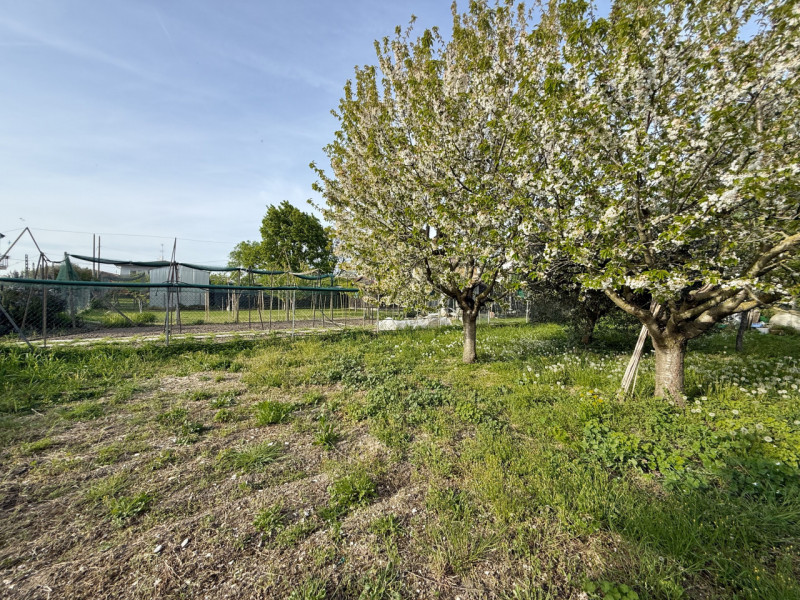 Ciao da Arcobaleno Immobiliare , fermati un attimo perché se stai cercando un'occasione sul merca...