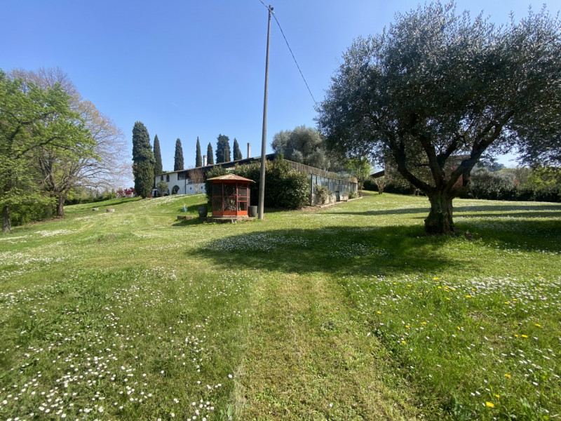 Villa unico piano - Piscina - Parco 5000 mq
Colline tra Vicenza e Arcugnano, villa singola dispos...
