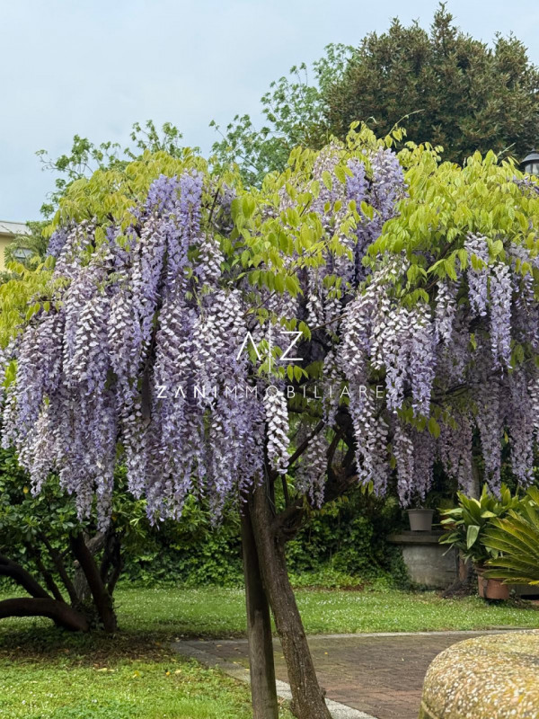 Nel cuore del comune di Dolo, proponiamo in vendita una splendida casa singola terratetto dalle g...