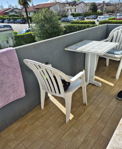 Rif. A.A.333-24

Vendita all'asta - appartamento al 1° piano con garage in data 27 maggio 2026

D...