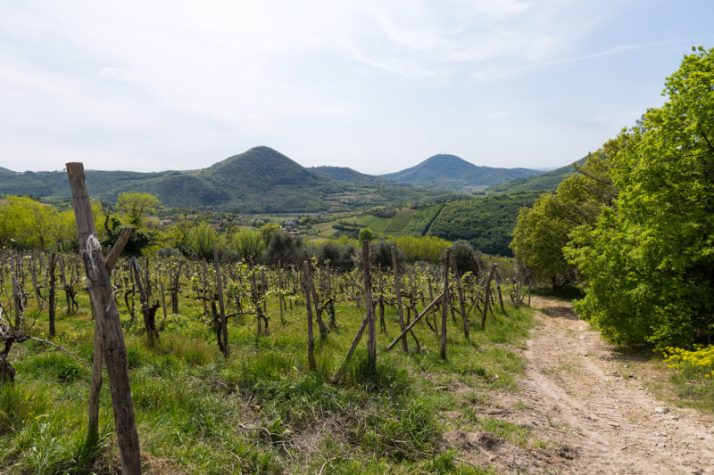 Proponiamo in vendita un meraviglioso rustico, situato nella suggestiva zona di Valnogaredo (Cint...