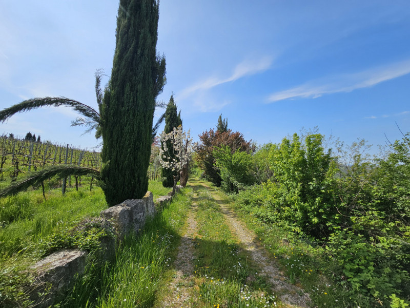 Proponiamo in vendita un meraviglioso rustico, situato nella suggestiva zona di Valnogaredo (Cint...