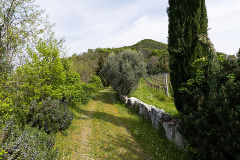Proponiamo in vendita un meraviglioso rustico, situato nella suggestiva zona di Valnogaredo (Cint...