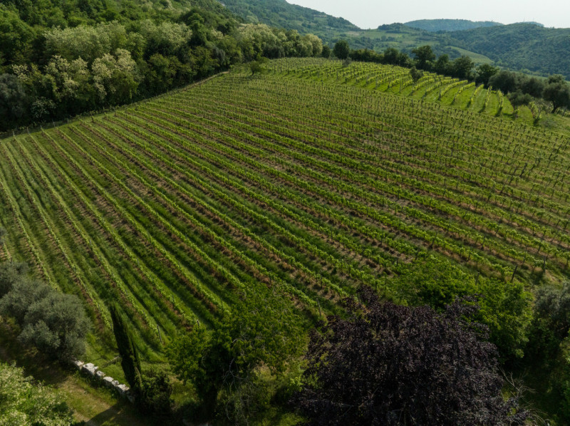 Proponiamo in vendita un meraviglioso rustico, situato nella suggestiva zona di Valnogaredo (Cint...
