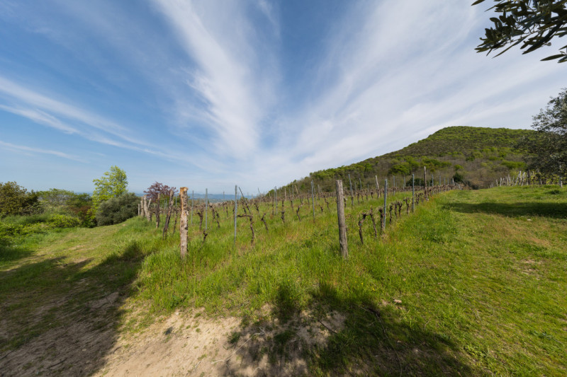 Proponiamo in vendita un meraviglioso rustico, situato nella suggestiva zona di Valnogaredo (Cint...