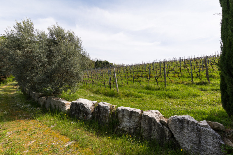 Proponiamo in vendita un meraviglioso rustico, situato nella suggestiva zona di Valnogaredo (Cint...