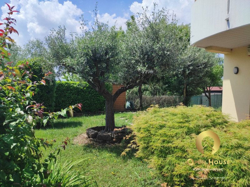 OPEN HOUSE by Franco Savegnago propone in vendita Appartamento al piano terra con Ingresso Indipe...