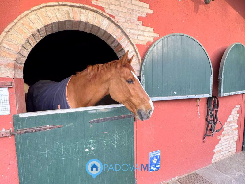 Immobile in esclusiva al Gruppo Padova MLS

Se amate la tranquillità e allo stesso tempo la vicin...