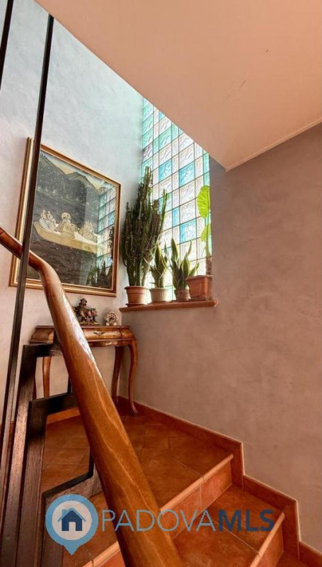 Immobile in esclusiva al Gruppo Padova MLS

SAN BELLINO - ARCELLA: In un contesto residenziale tr...