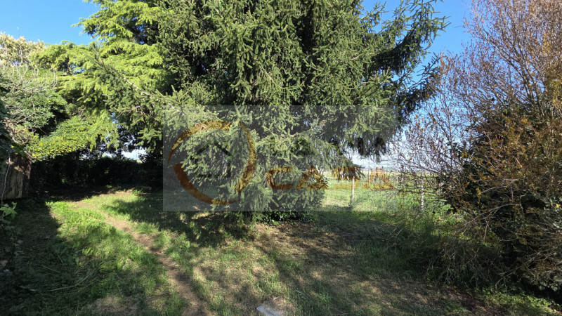 In vendita nel comune di Bagnoli di Sopra, proponiamo una casa singola terratetto immersa nella t...