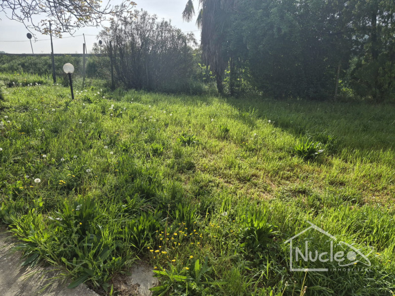 ROVOLON: Proponiamo in vendita porzione di abitazione accostata con ampio terreno di proprietà di...