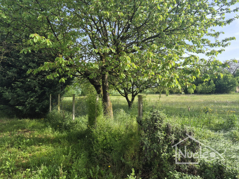 ROVOLON: Proponiamo in vendita porzione di abitazione accostata con ampio terreno di proprietà di...