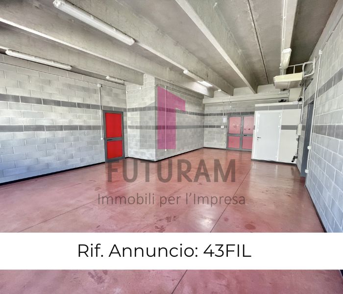 CAMISANO VICENTINO-  43FIL- PER INFO  0444/310220 

IN CONTESTO MISTO DIREZIONALE COMMERCIALE SI ...