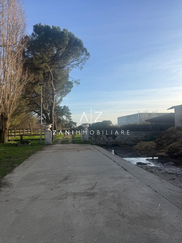 Proponiamo in vendita un’ampia proprietà nel comune di San Martino di Lupari, zona tranquilla e s...