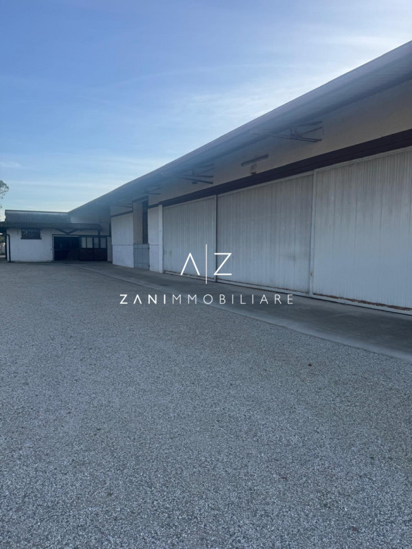 Proponiamo in vendita un’ampia proprietà nel comune di San Martino di Lupari, zona tranquilla e s...