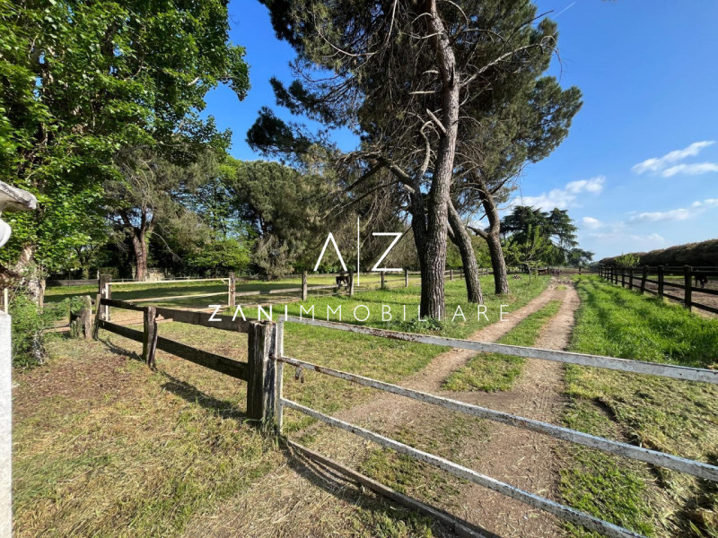 Proponiamo in vendita un’ampia proprietà nel comune di San Martino di Lupari, zona tranquilla e s...
