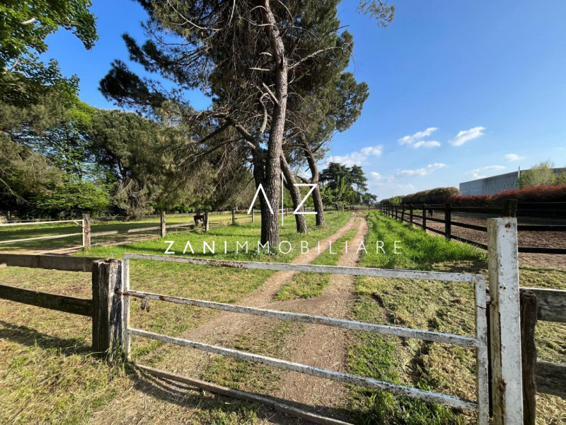 Proponiamo in vendita un’ampia proprietà nel comune di San Martino di Lupari, zona tranquilla e s...