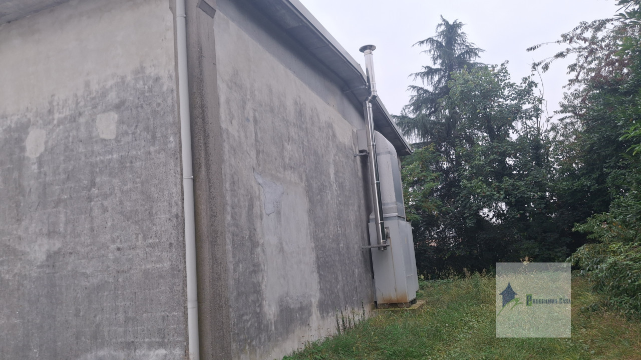 immagine annuncio 9 di 14