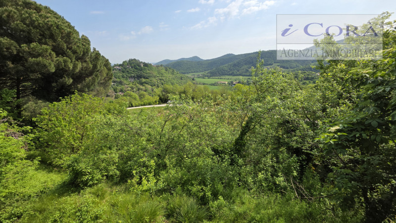 Teolo collina, proponiamo in vendita rustico composto da due unità abitative per un complessivo d...